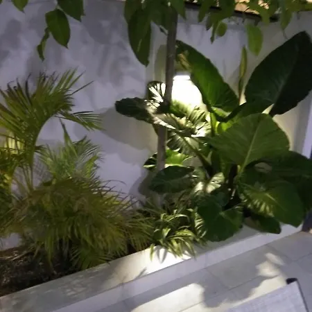 Arxontia 2 Apartmán Kalamata