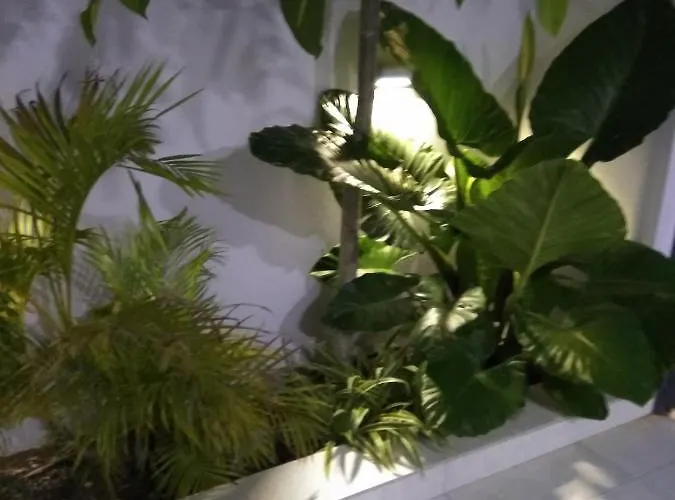 Arxontia 2 Апартаменты Каламата